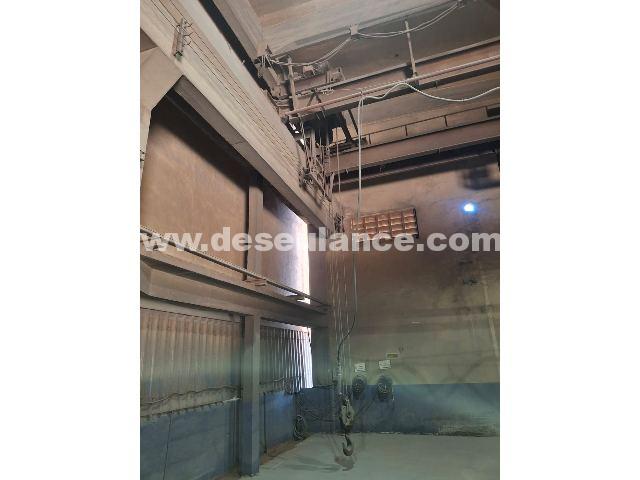 214/25159 - PONTE ROLANTE M/PHB, DUPLA VIGA, CAPAC. 5 TONS. (RV 975)