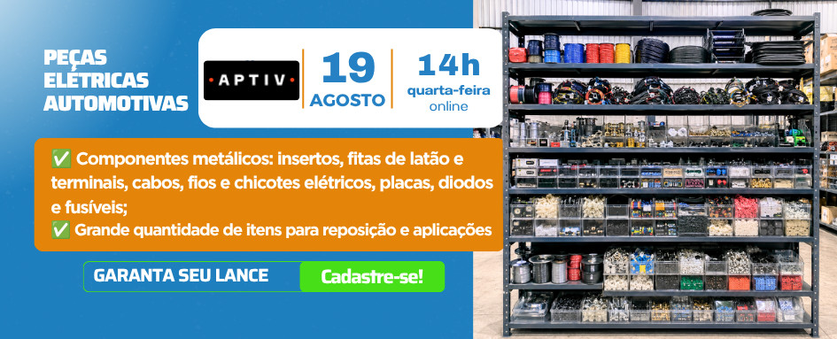 Leilão online de componentes e peças elétricas automotivas | DeSeuLance